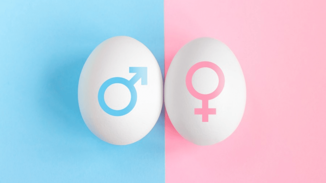 Exploring Gender Determination Options on the Internet and Their Implications