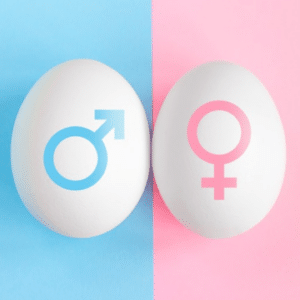 Exploring Gender Determination Options on the Internet and Their Implications