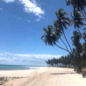 Descubra como melhorar sua viagem a praia.