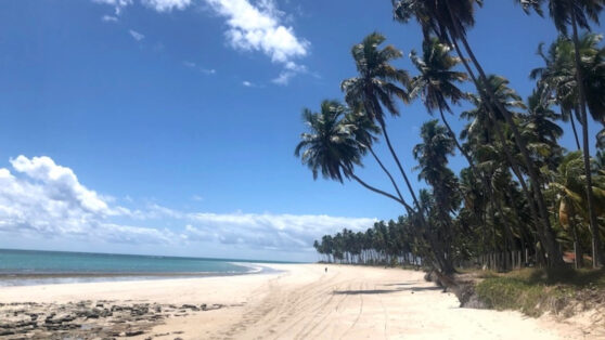 Descubra como melhorar sua viagem a praia.